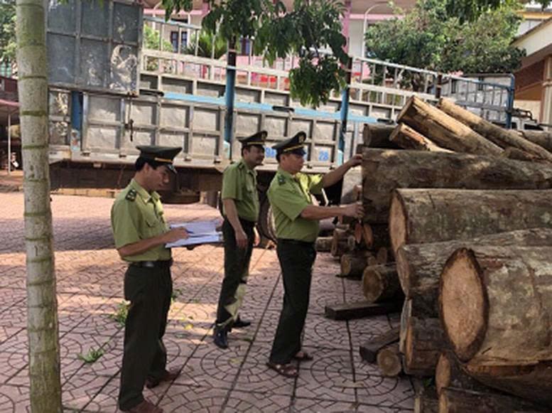 3 hình thức kiểm tra, truy xuất nguồn gốc lâm sản